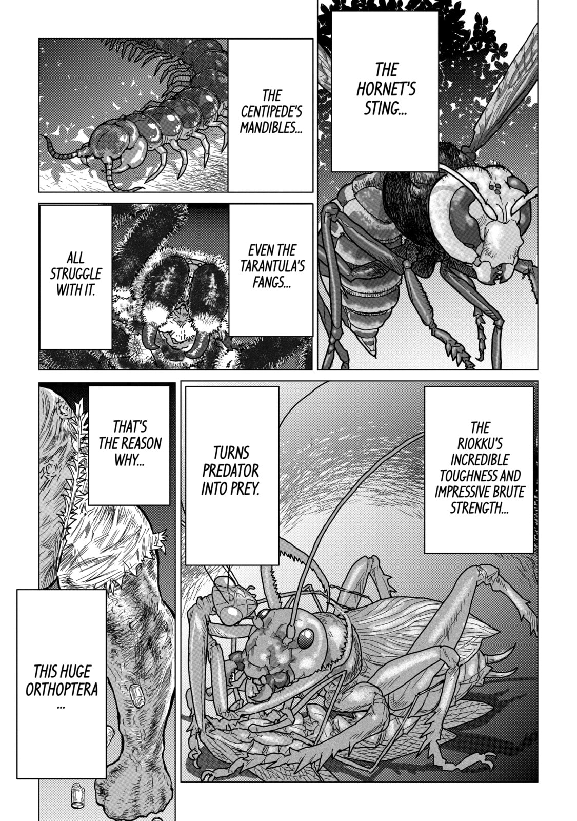 Read Caterpillar chapter 26 image 14 on Lezhin