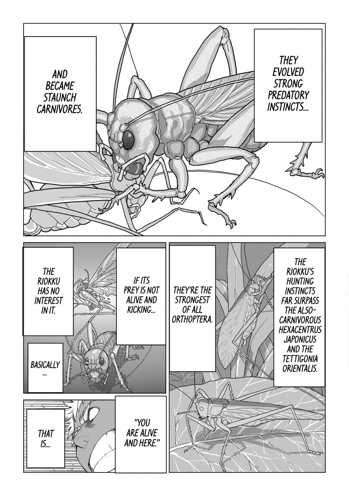 Read Caterpillar chapter 27 image 14 on Lezhin