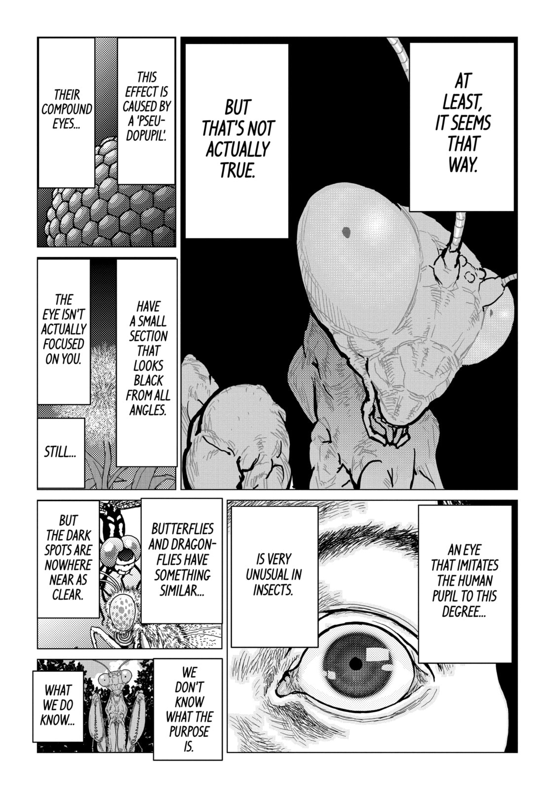 Read Caterpillar chapter 29 image 14 on Lezhin
