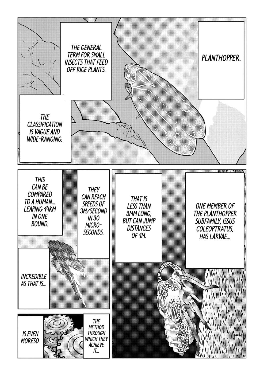 Read Caterpillar chapter 30 image 12 on Lezhin