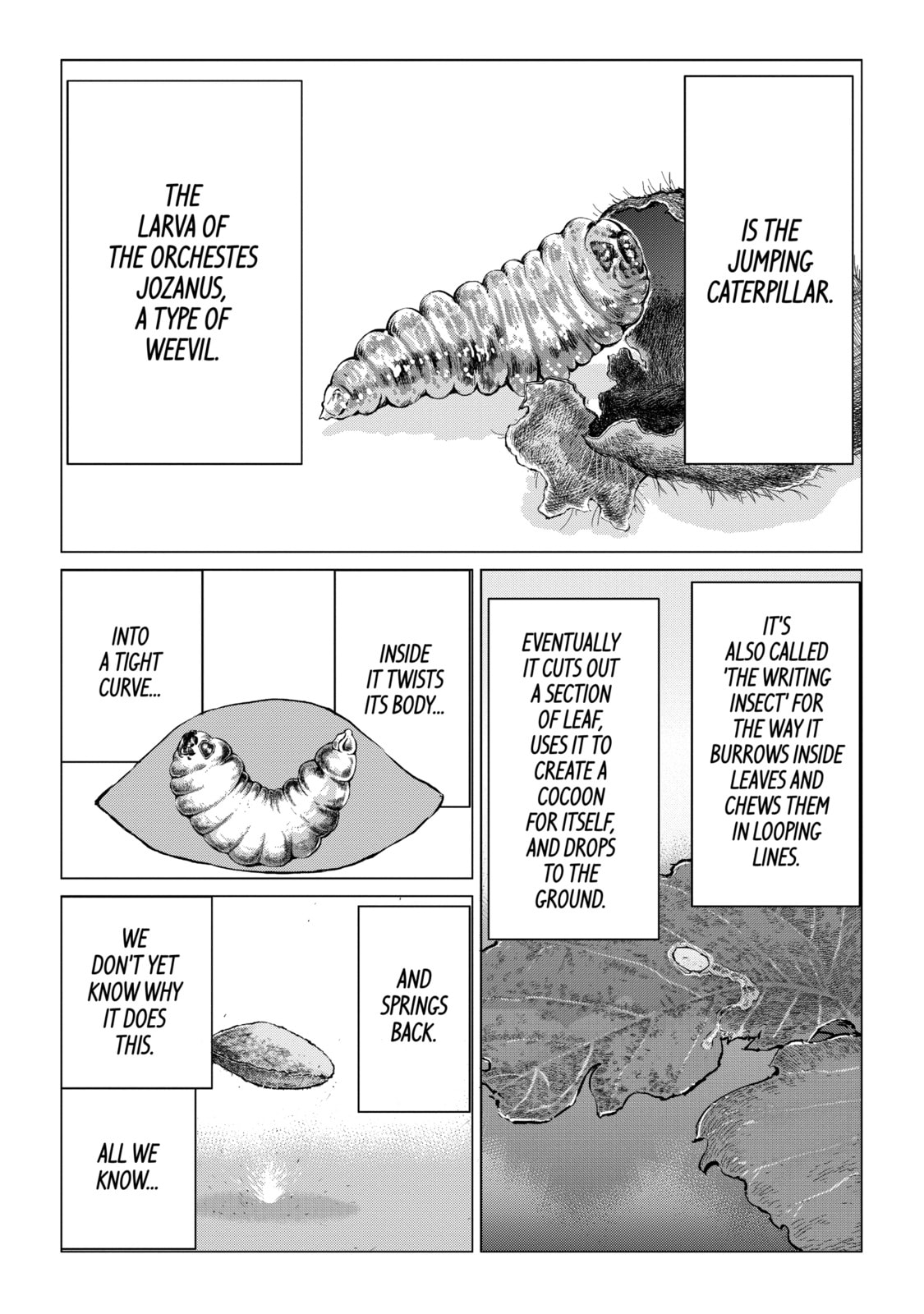 Read Caterpillar chapter 32 image 7 on Lezhin