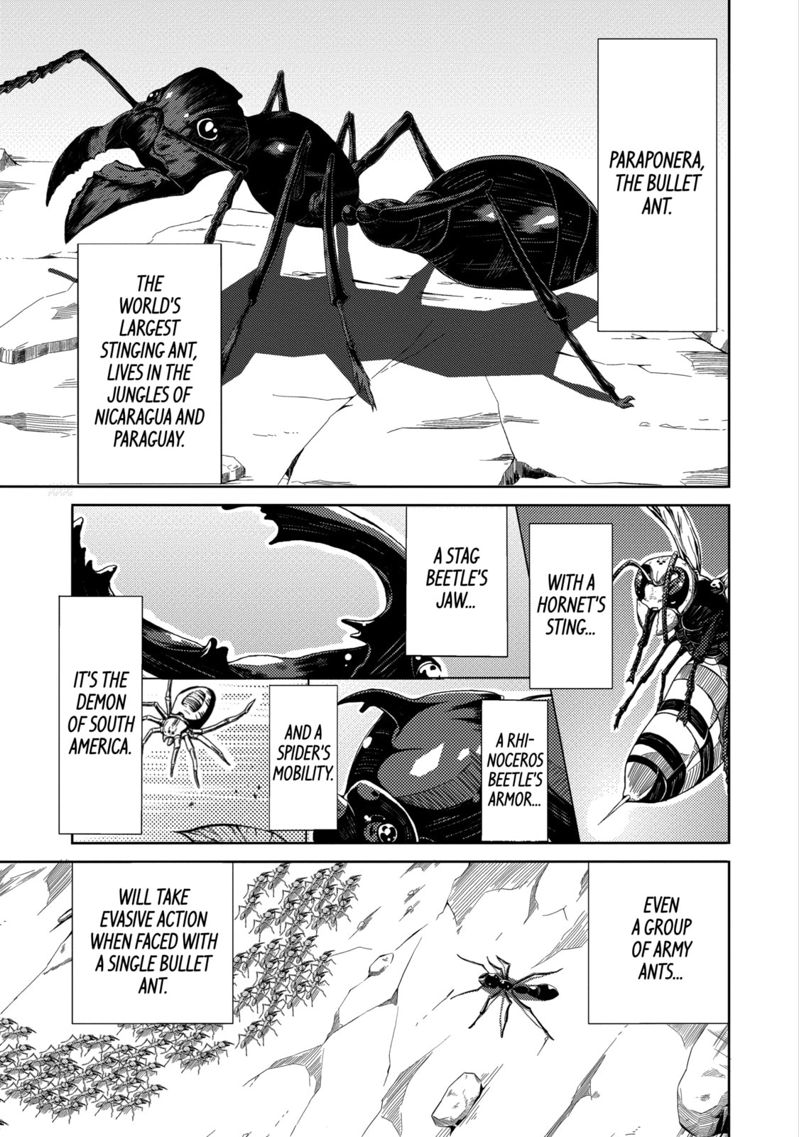 Read Caterpillar chapter 4 image 0 on Lezhin