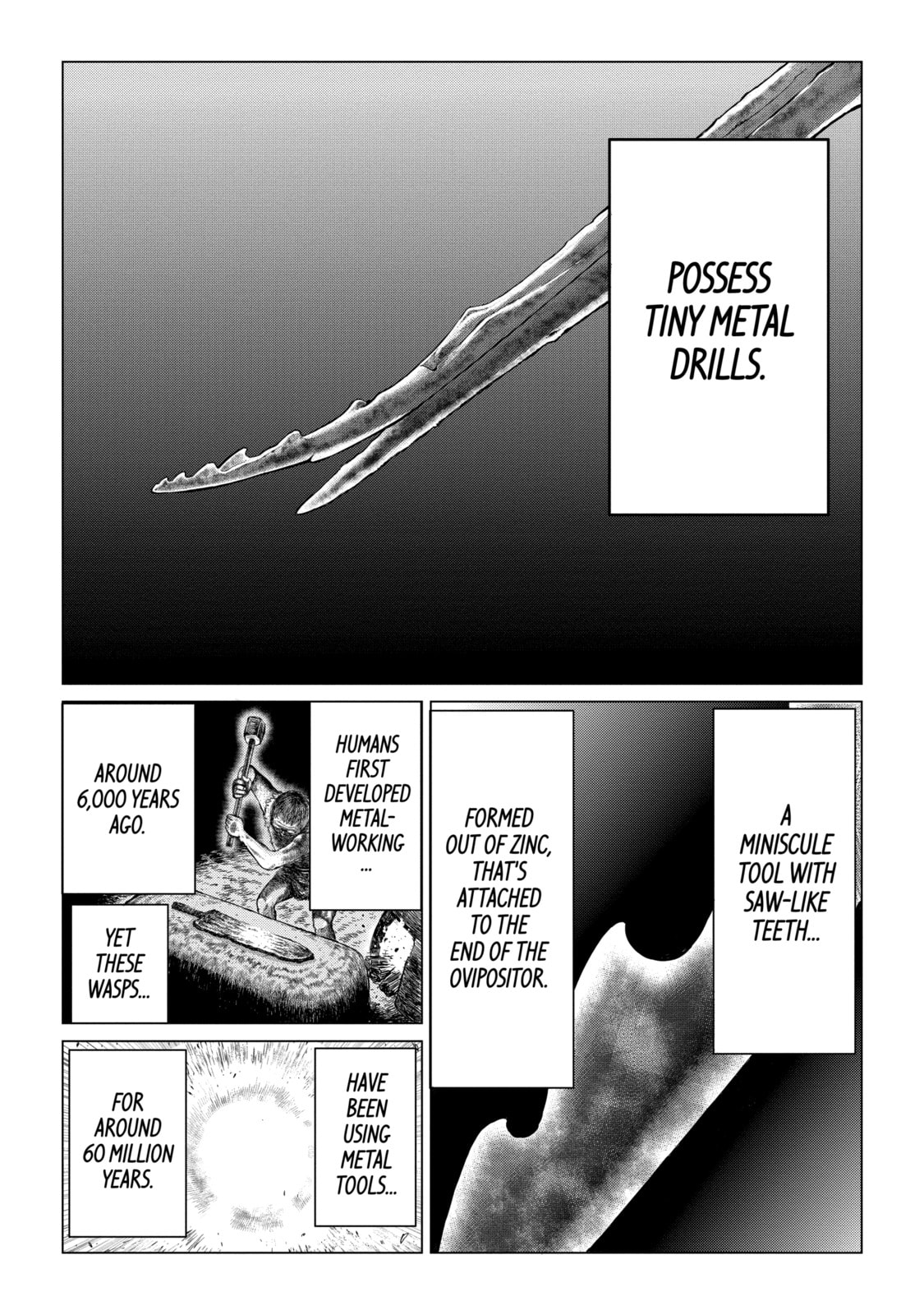Read Caterpillar chapter 41 image 1 on Lezhin