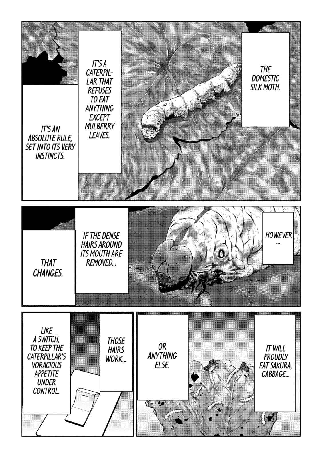Read Caterpillar chapter 42 image 15 on Lezhin