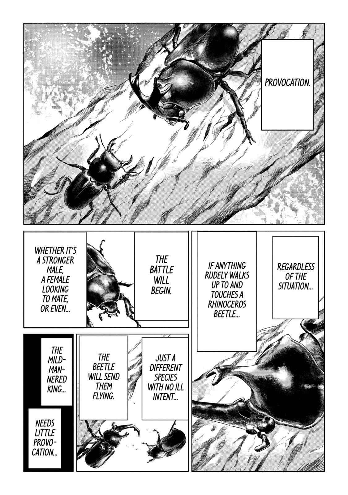 Read Caterpillar chapter 52 image 14 on Lezhin