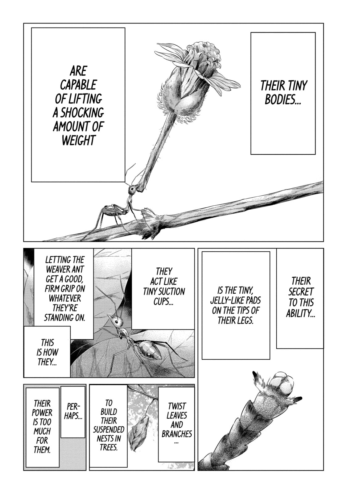 Read Caterpillar chapter 53 image 15 on Lezhin