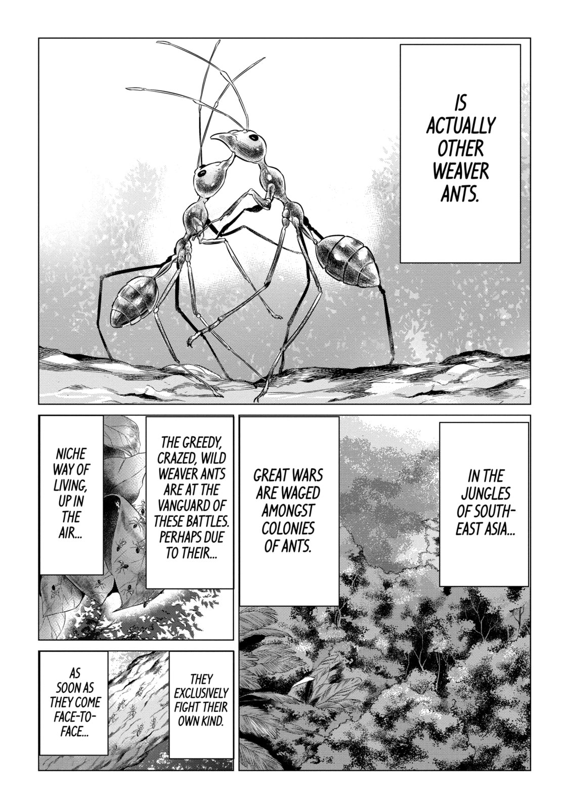 Read Caterpillar chapter 54 image 15 on Lezhin