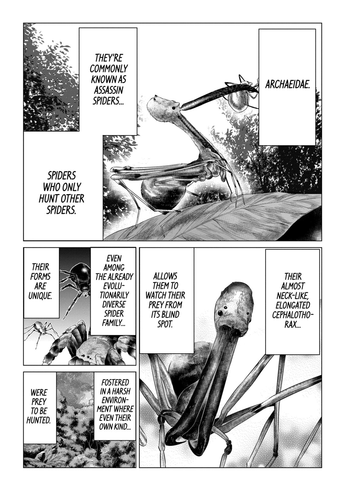 Read Caterpillar chapter 56 image 9 on Lezhin