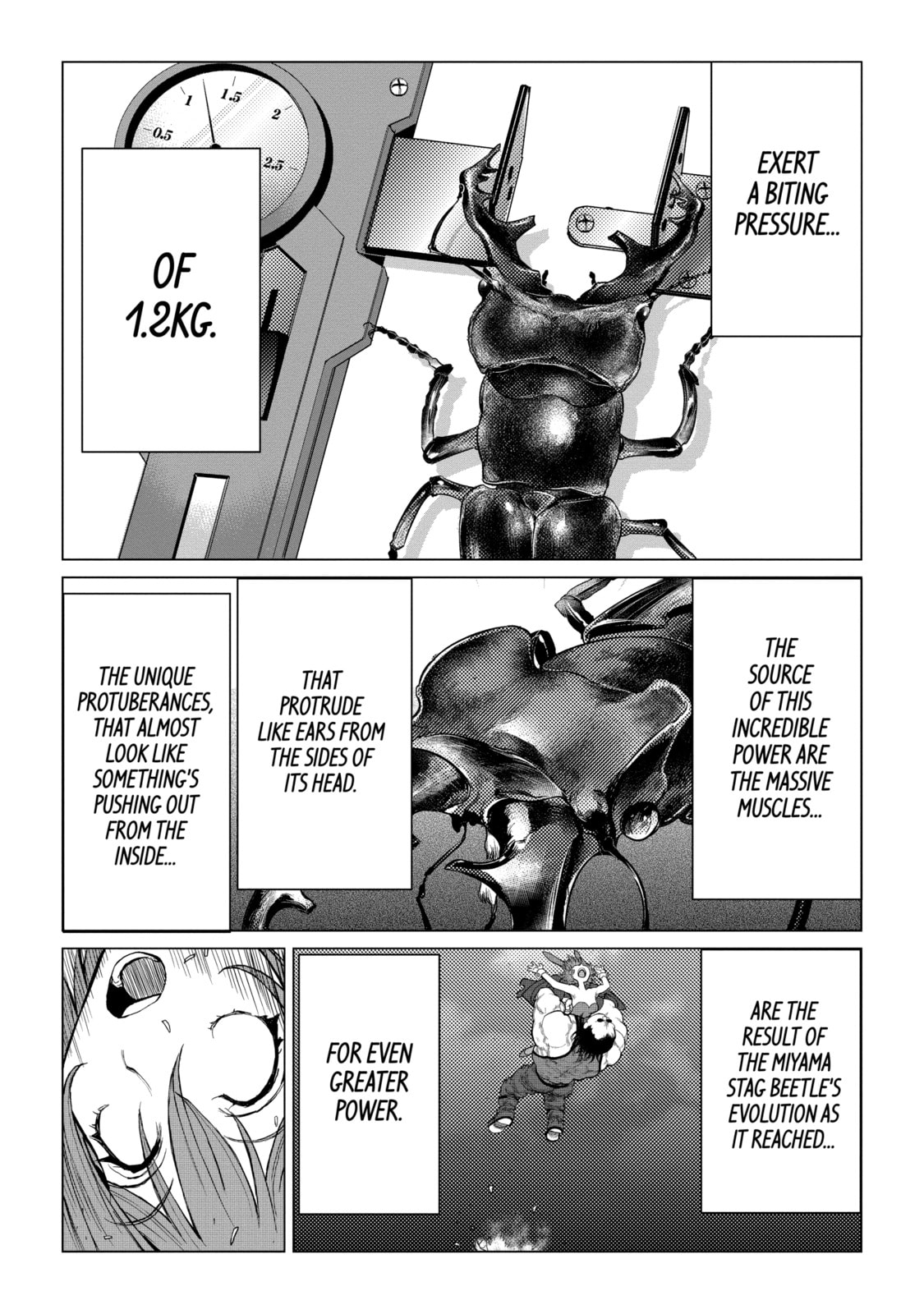 Read Caterpillar chapter 63 image 13 on Lezhin