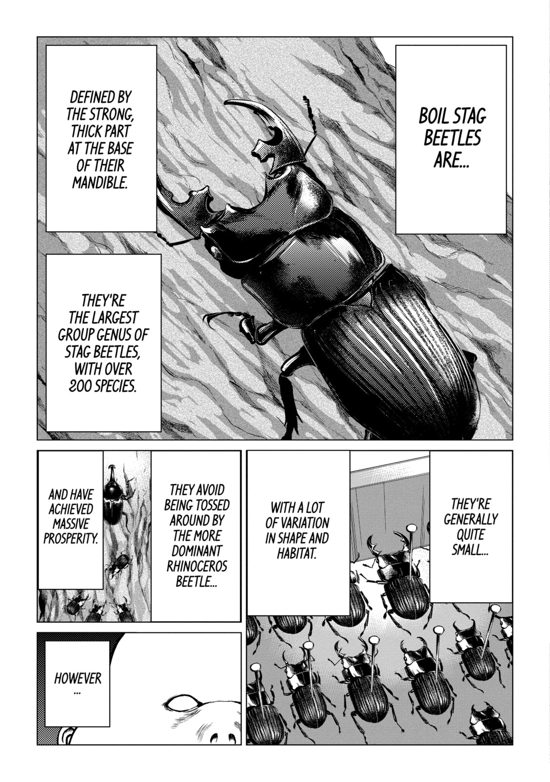 Read Caterpillar chapter 66 image 13 on Lezhin