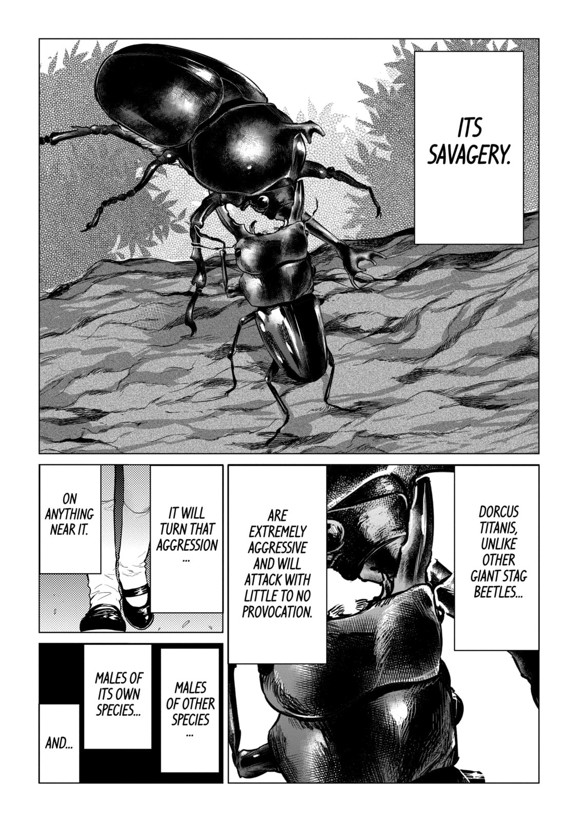 Read Caterpillar chapter 73 image 11 on Lezhin