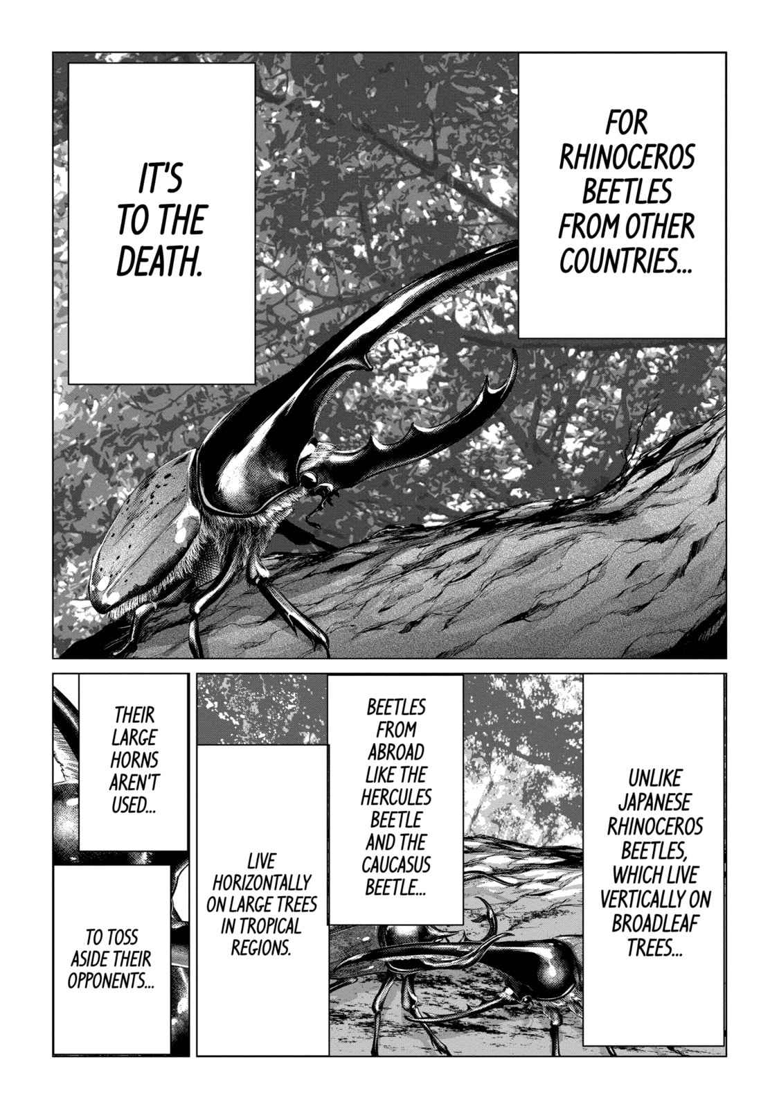 Read Caterpillar chapter 78 image 11 on Lezhin
