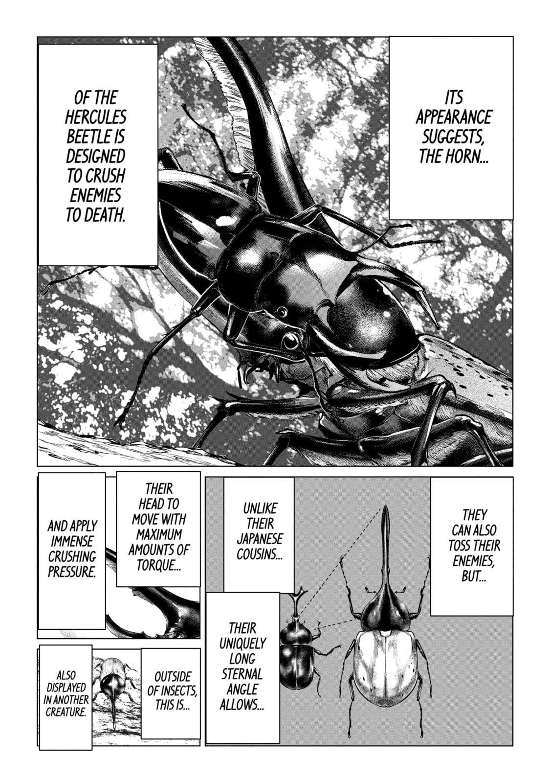 Read Caterpillar chapter 80 image 10 on Lezhin