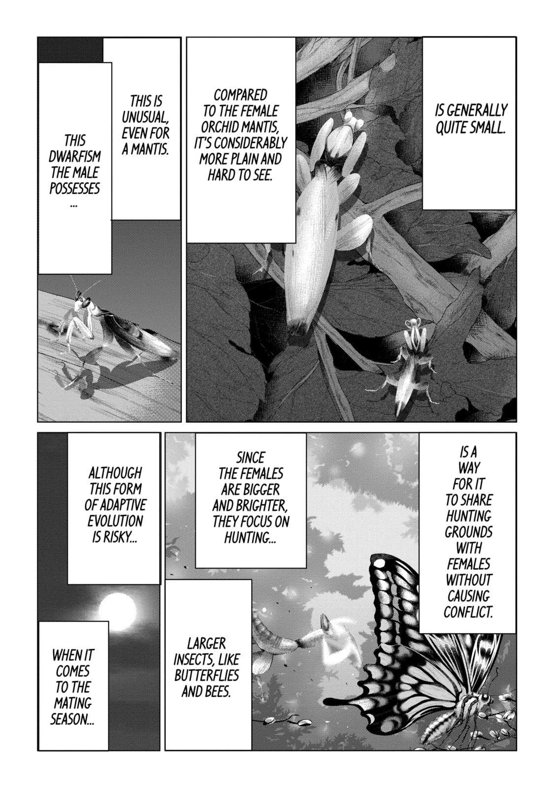 Read Caterpillar chapter 96 image 9 on Lezhin