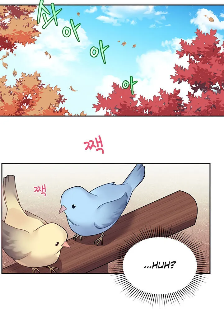 Read Cavier Falcon Princess chapter 1 image 42 on Lezhin