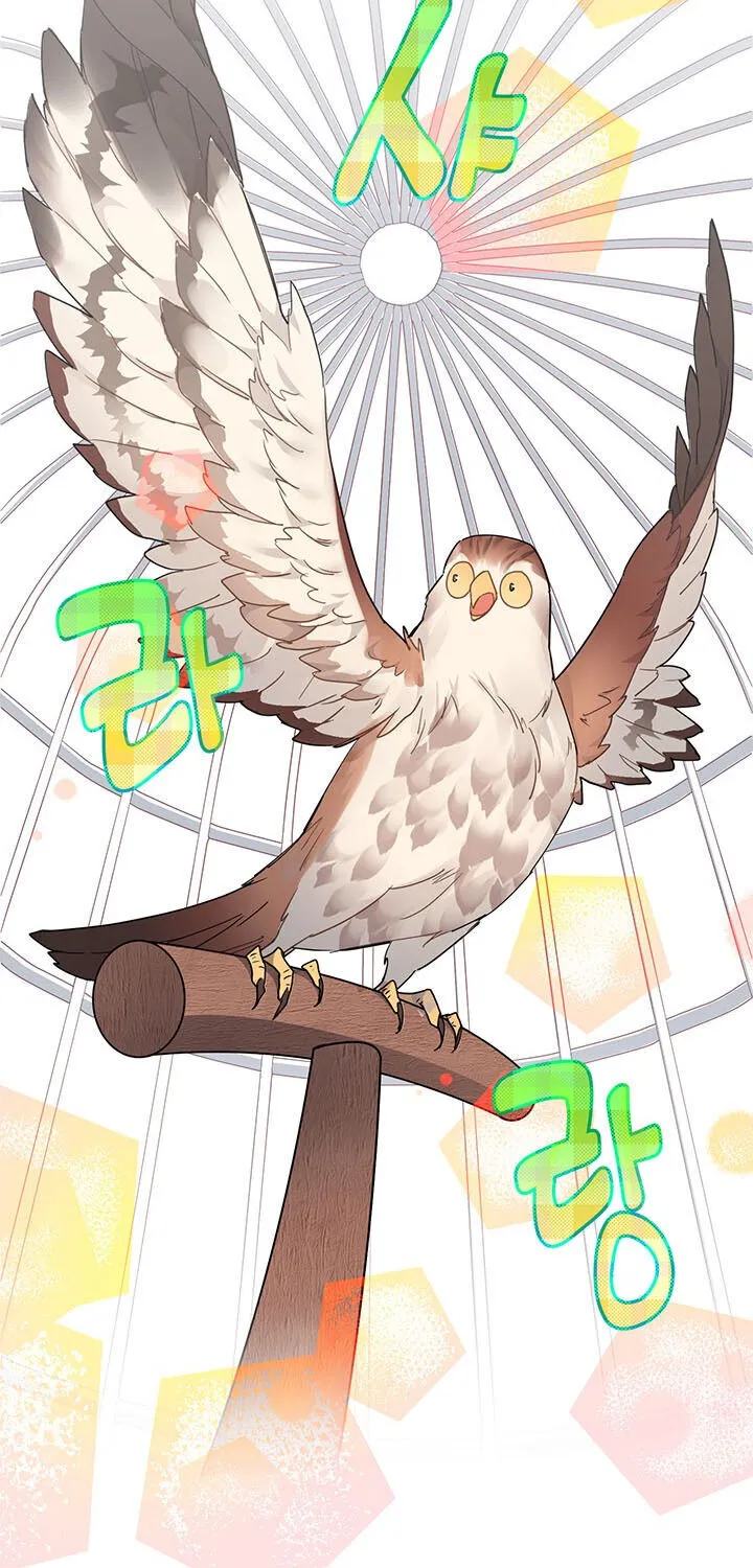 Read Cavier Falcon Princess chapter 1 image 55 on Lezhin