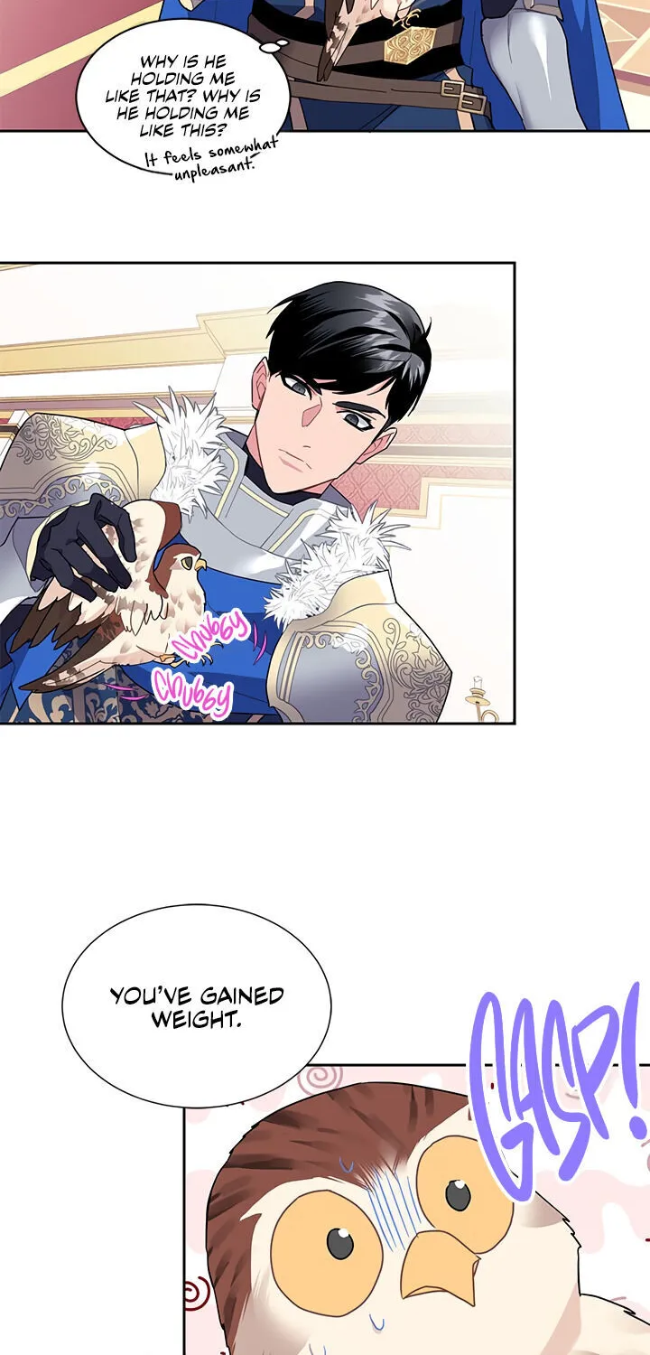 Read Cavier Falcon Princess chapter 10 image 32 on Lezhin