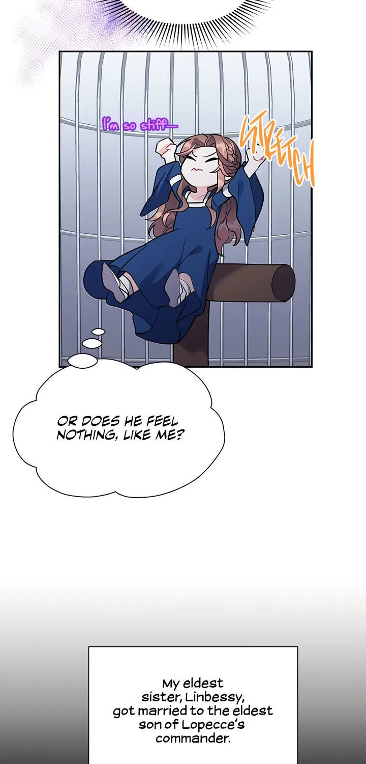 Read Cavier Falcon Princess chapter 10 image 5 on Lezhin