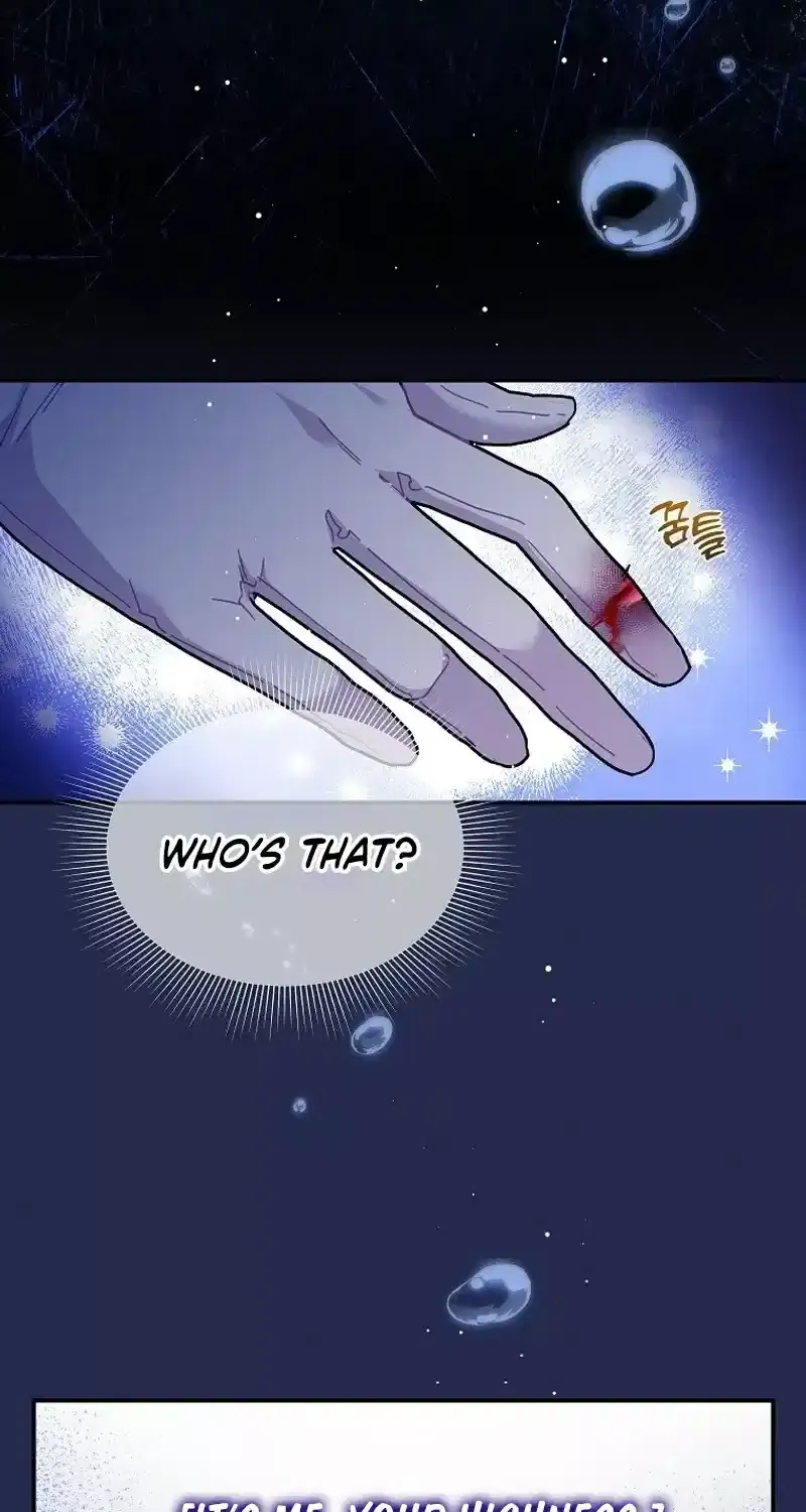 Read Cavier Falcon Princess chapter 109 image 70 on Lezhin