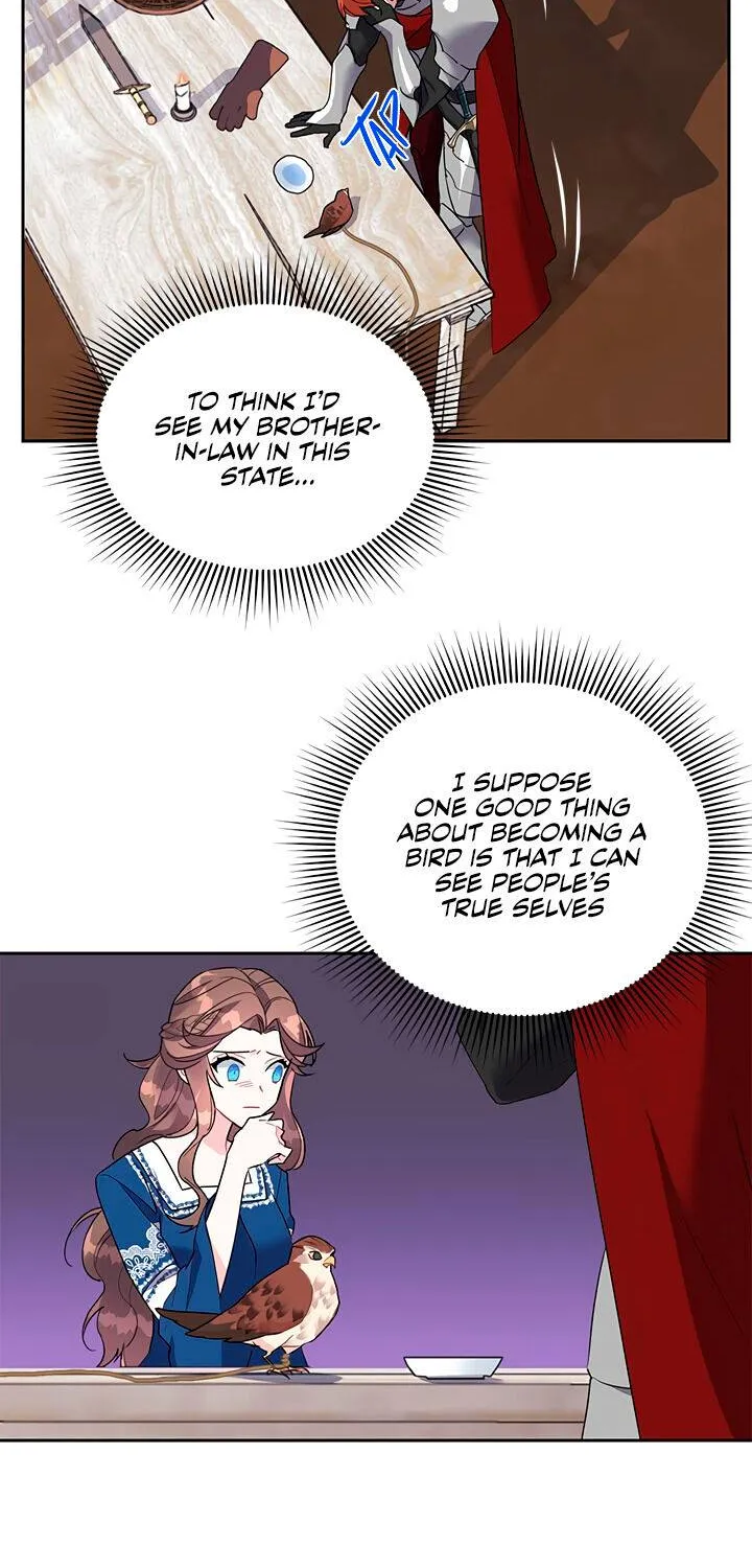 Read Cavier Falcon Princess chapter 11 image 14 on Lezhin