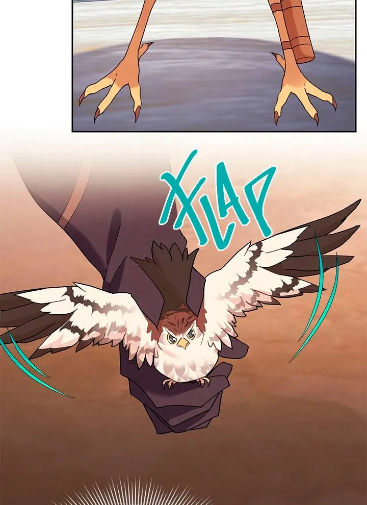 Read Cavier Falcon Princess chapter 11 image 16 on Lezhin