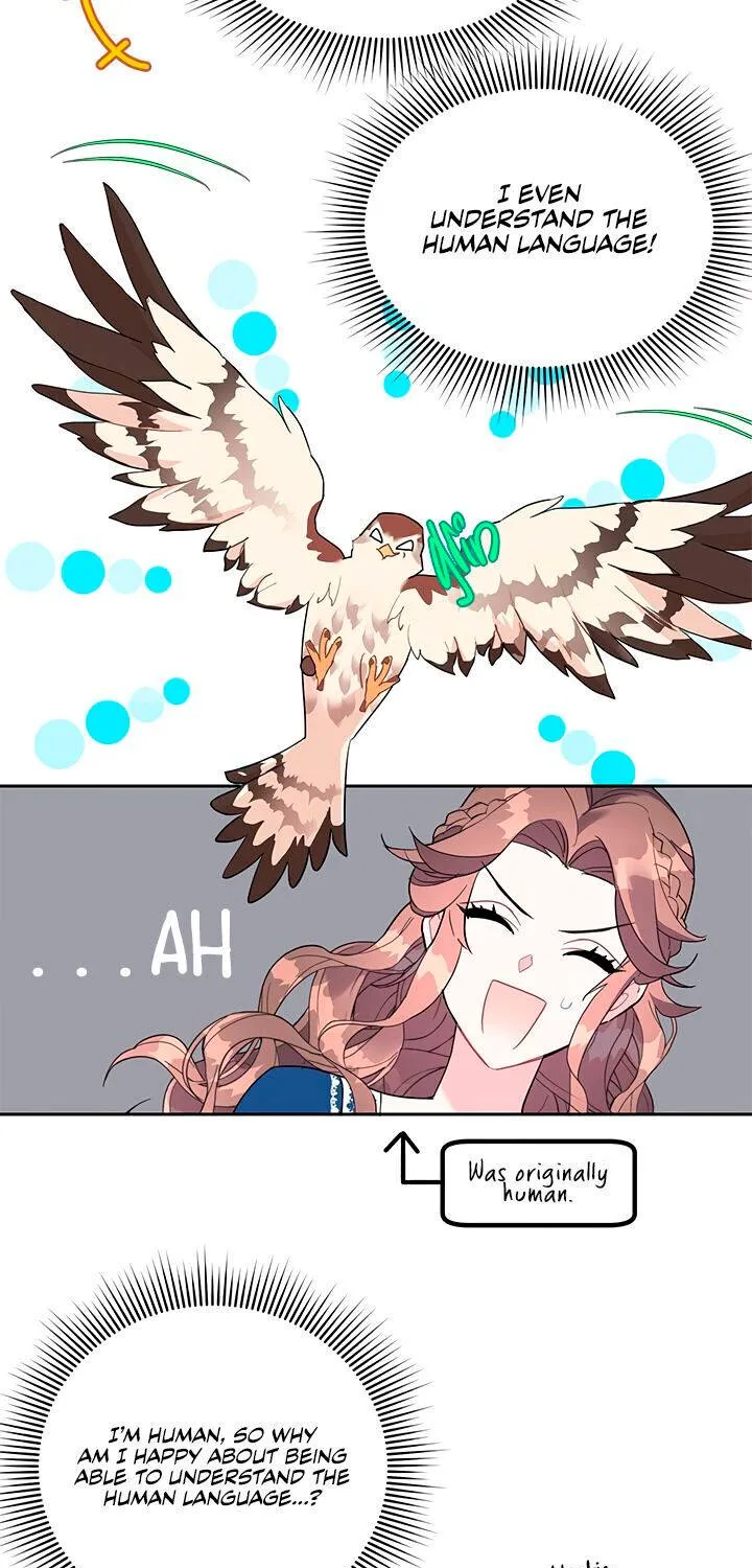 Read Cavier Falcon Princess chapter 11 image 2 on Lezhin