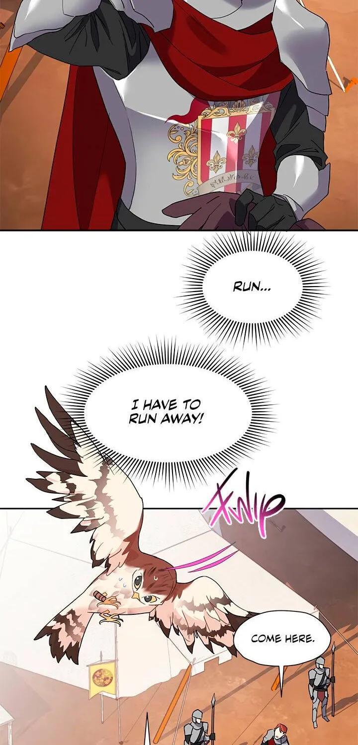 Read Cavier Falcon Princess chapter 11 image 5 on Lezhin