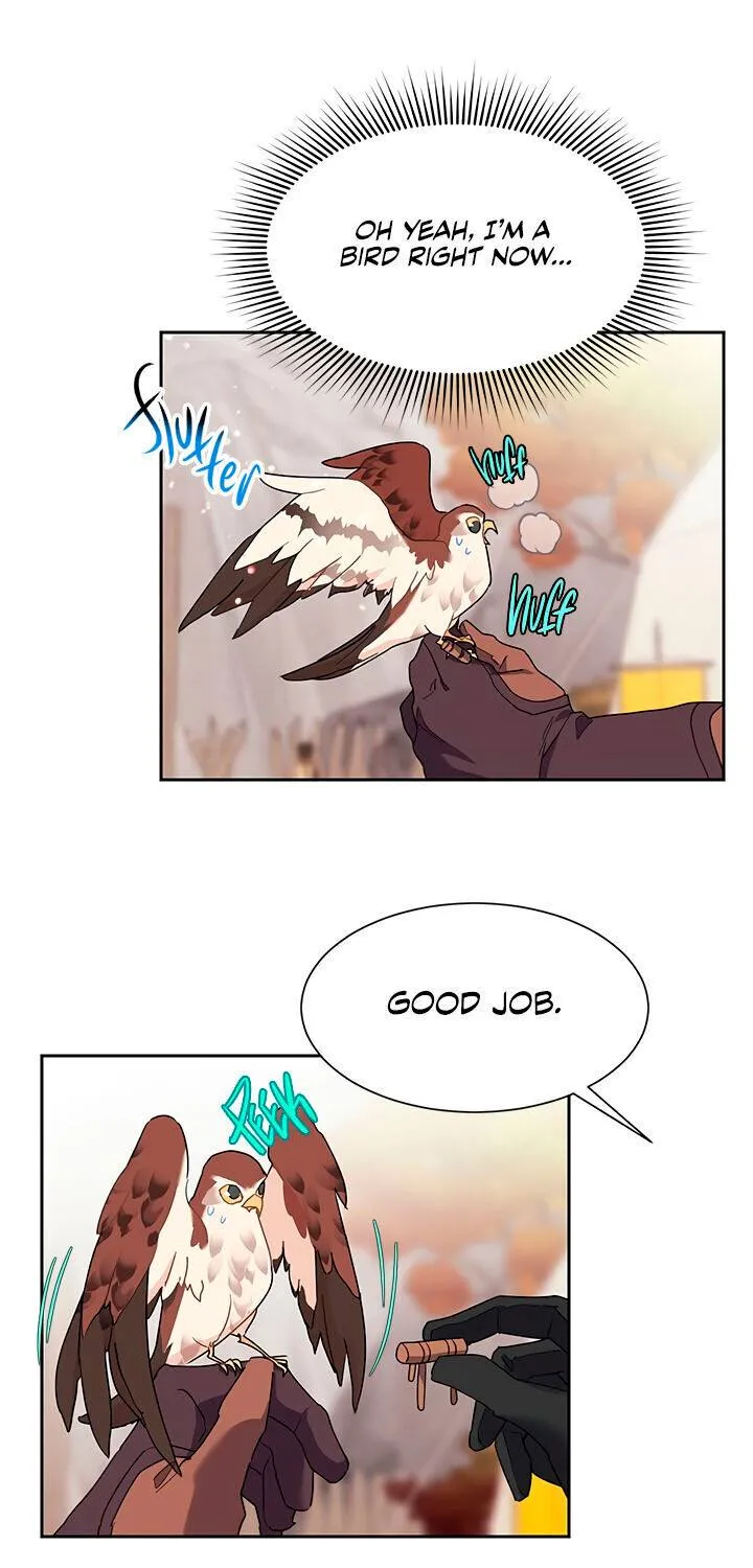 Read Cavier Falcon Princess chapter 11 image 7 on Lezhin