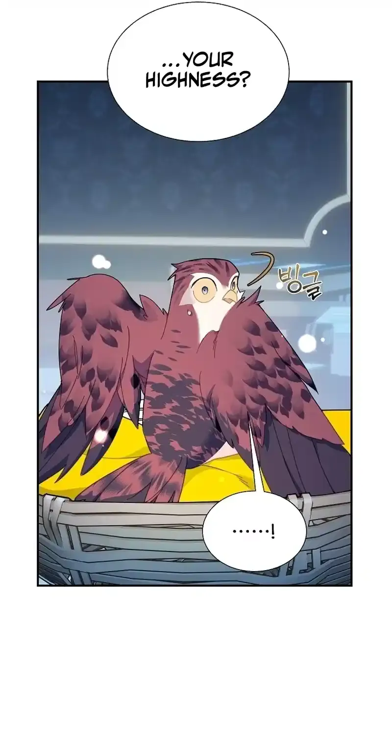 Read Cavier Falcon Princess chapter 110 image 25 on Lezhin