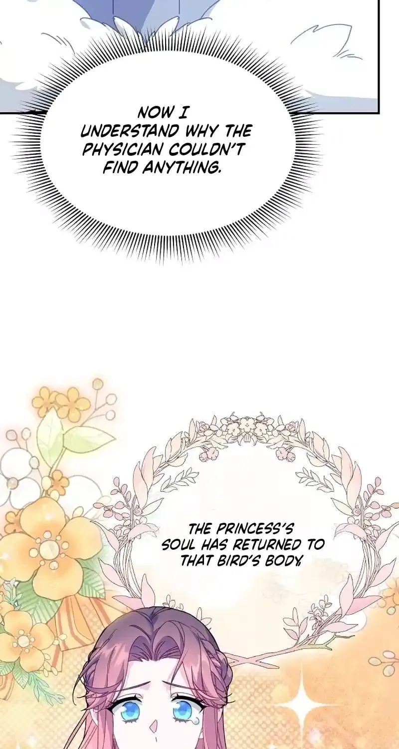 Read Cavier Falcon Princess chapter 110 image 28 on Lezhin