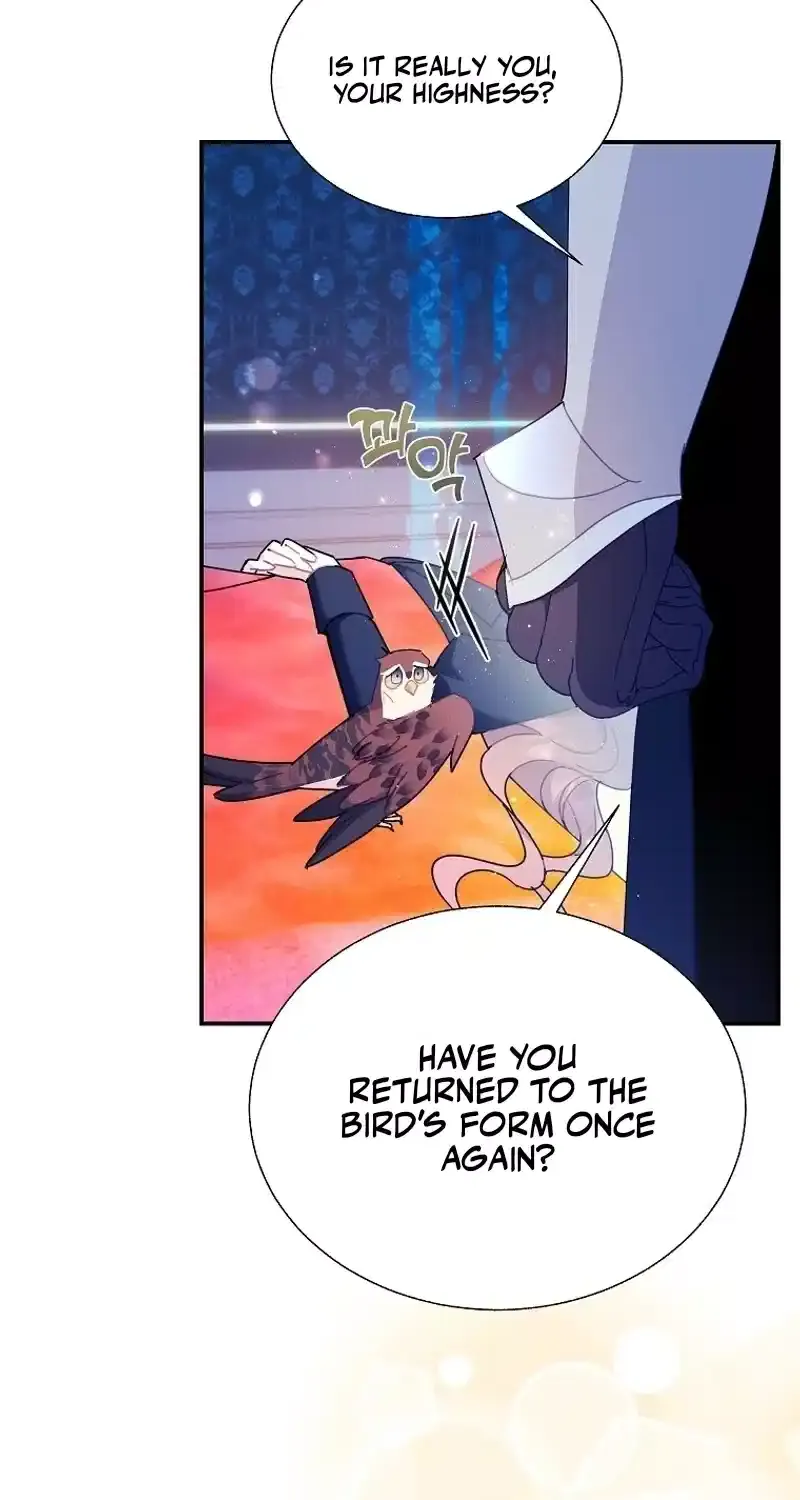 Read Cavier Falcon Princess chapter 110 image 39 on Lezhin