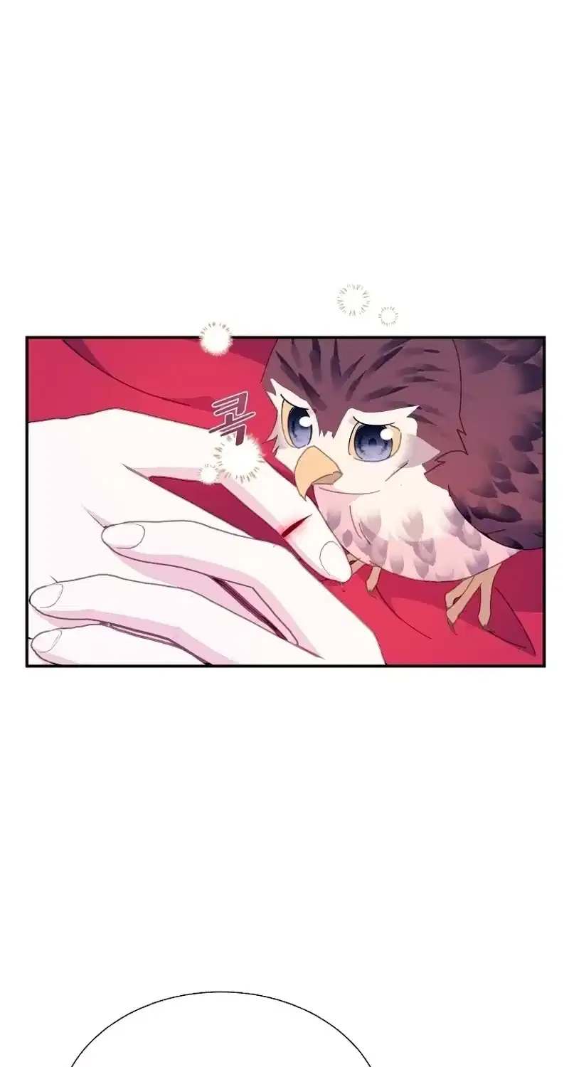 Read Cavier Falcon Princess chapter 110 image 67 on Lezhin