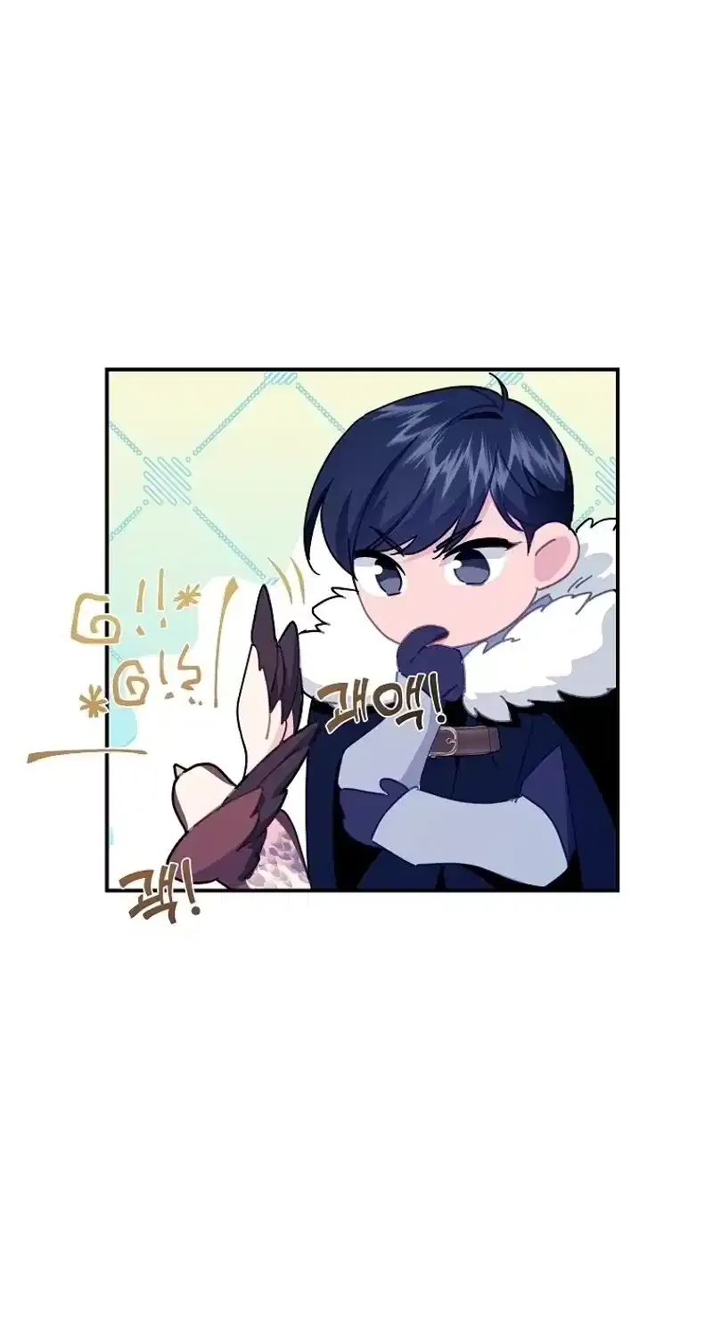 Read Cavier Falcon Princess chapter 110 image 69 on Lezhin