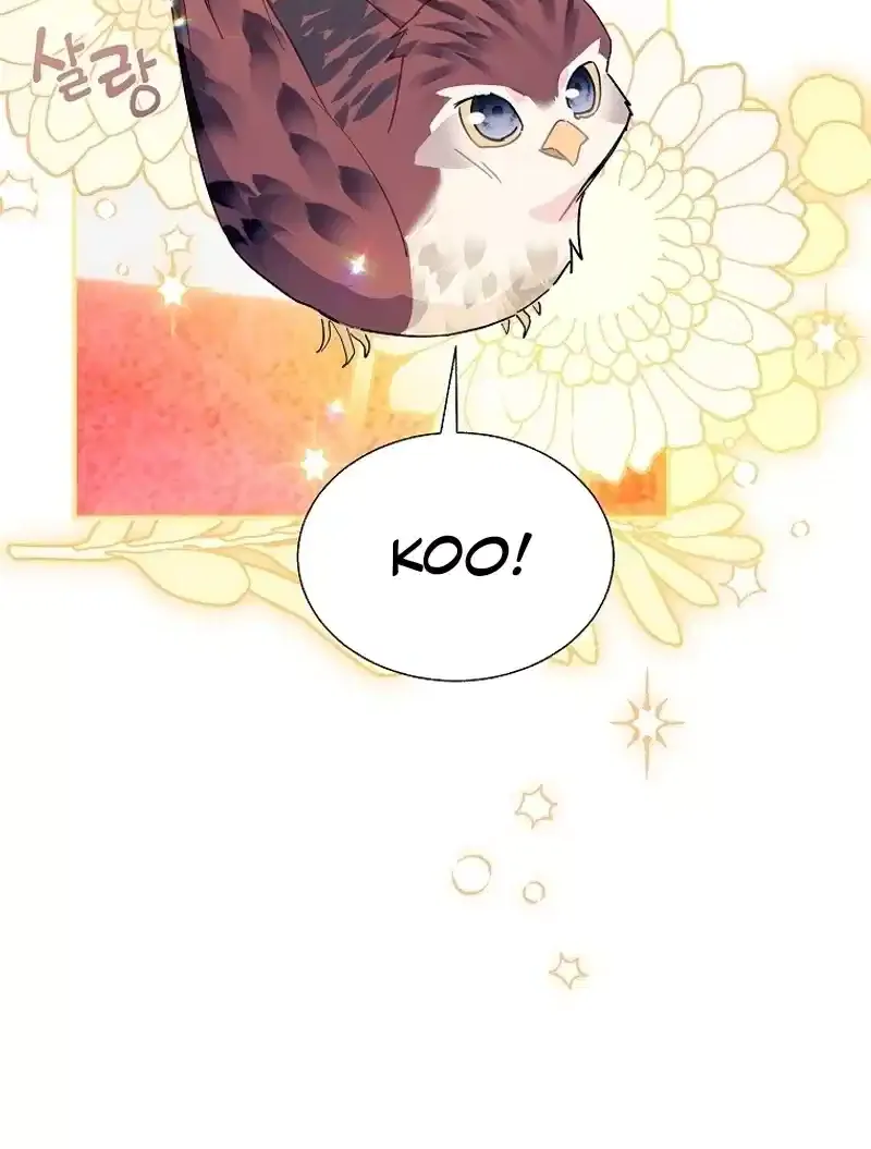 Read Cavier Falcon Princess chapter 110 image 72 on Lezhin