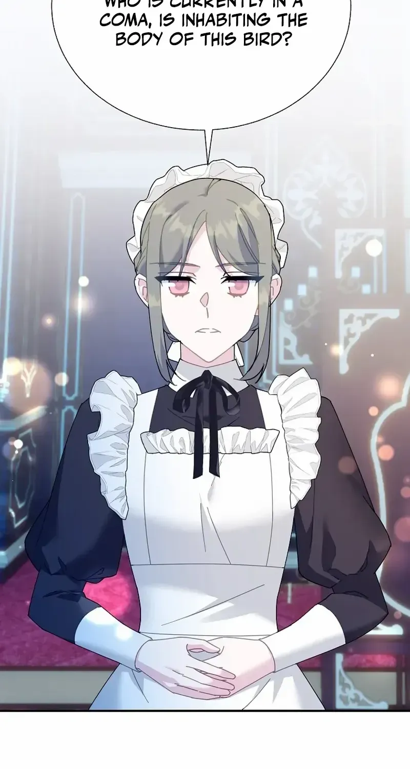 Read Cavier Falcon Princess chapter 111 image 2 on Lezhin