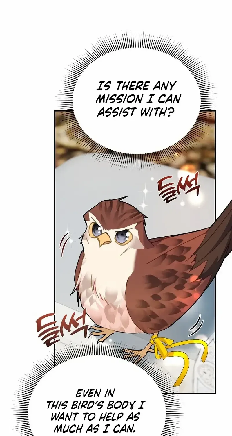 Read Cavier Falcon Princess chapter 111 image 53 on Lezhin