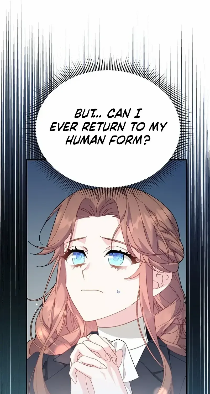 Read Cavier Falcon Princess chapter 111 image 55 on Lezhin