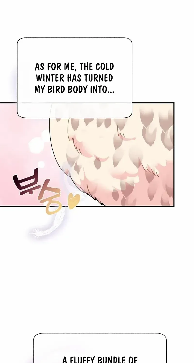 Read Cavier Falcon Princess chapter 111 image 62 on Lezhin