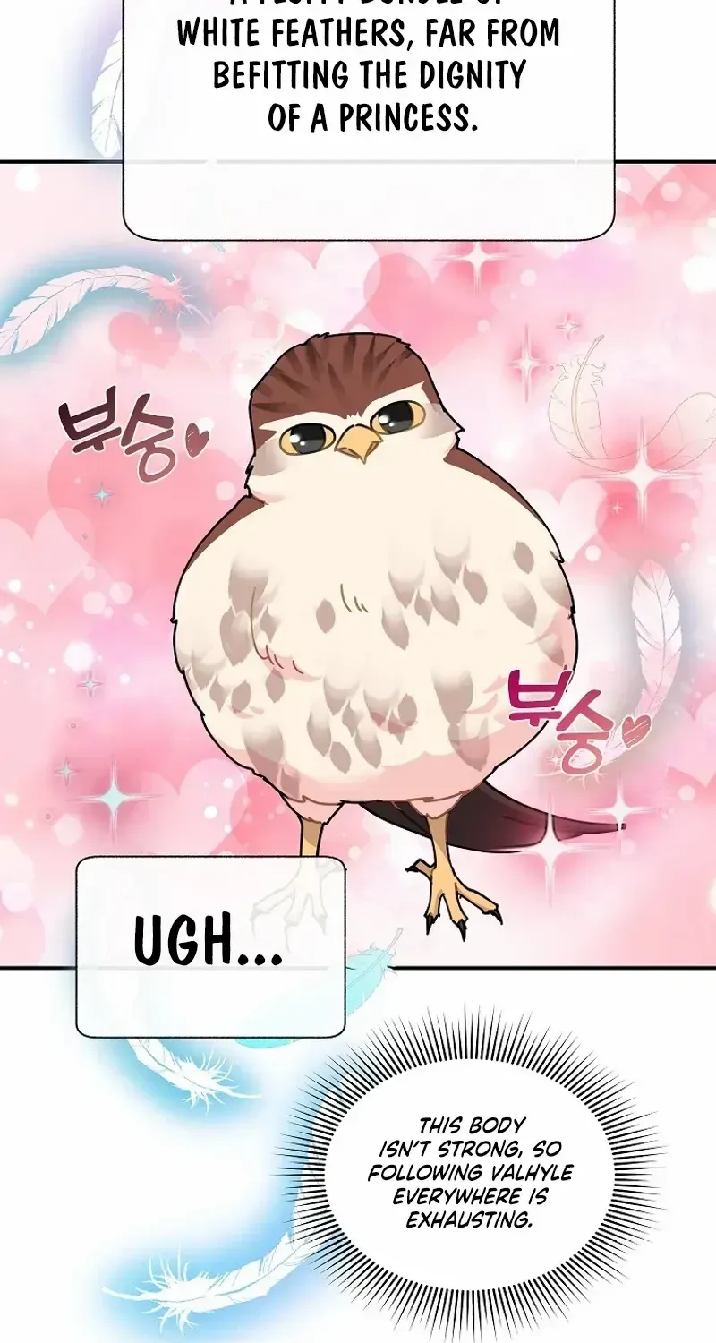 Read Cavier Falcon Princess chapter 111 image 63 on Lezhin