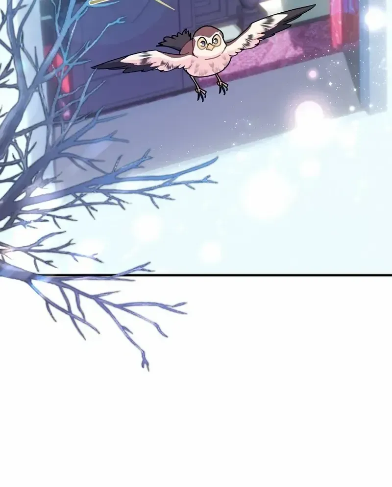 Read Cavier Falcon Princess chapter 111 image 72 on Lezhin