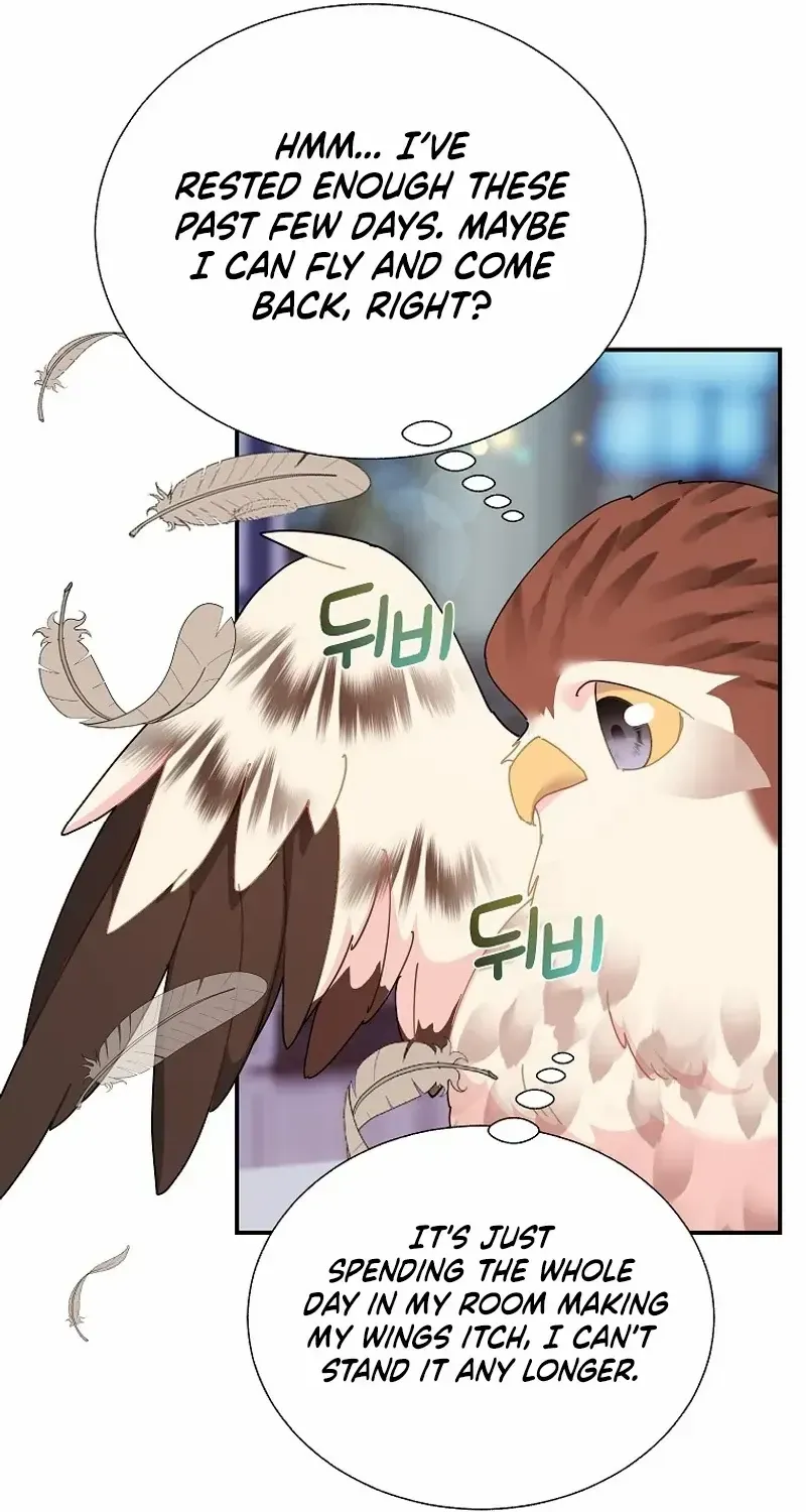 Read Cavier Falcon Princess chapter 111 image 73 on Lezhin