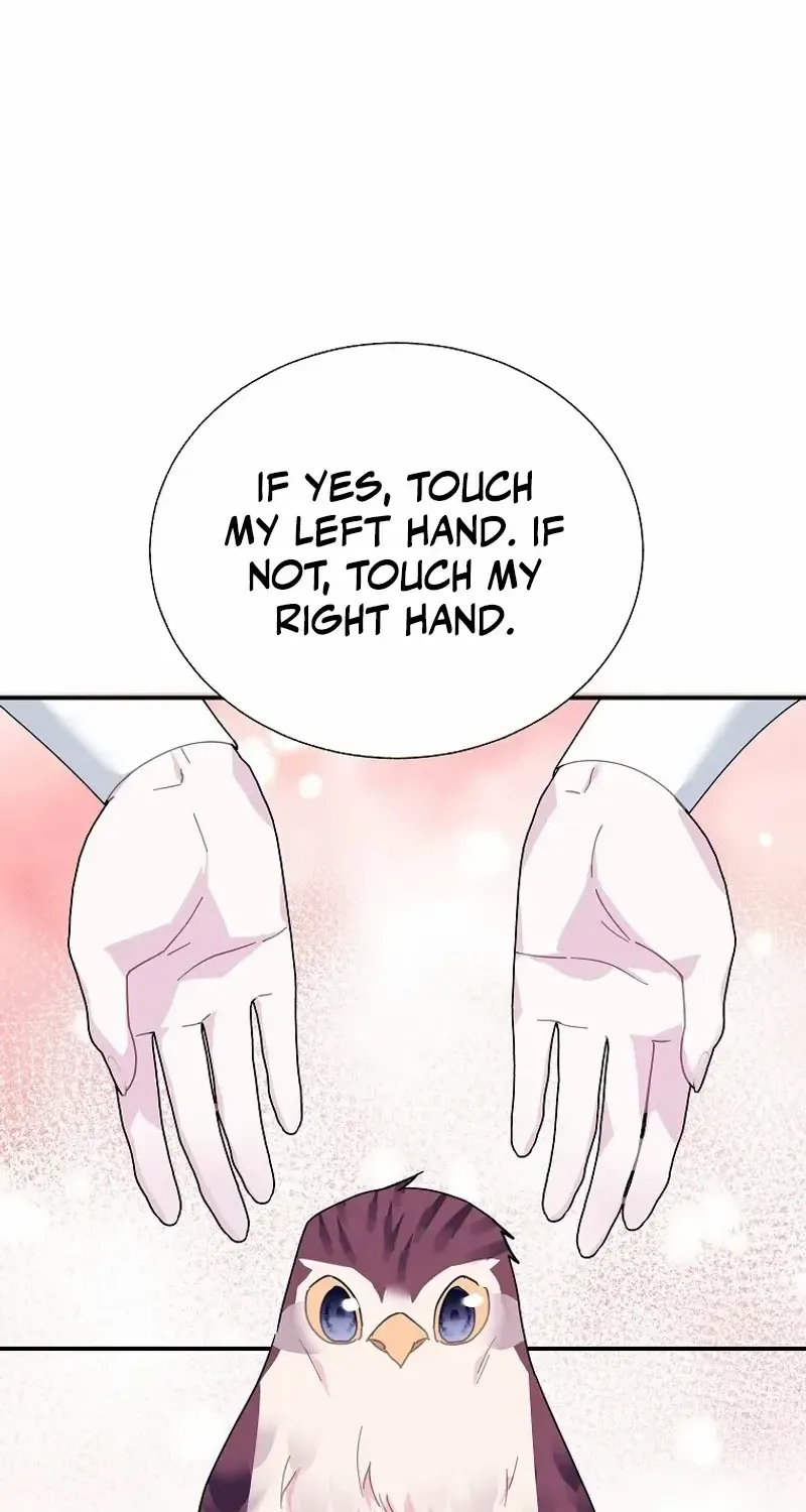 Read Cavier Falcon Princess chapter 111 image 8 on Lezhin
