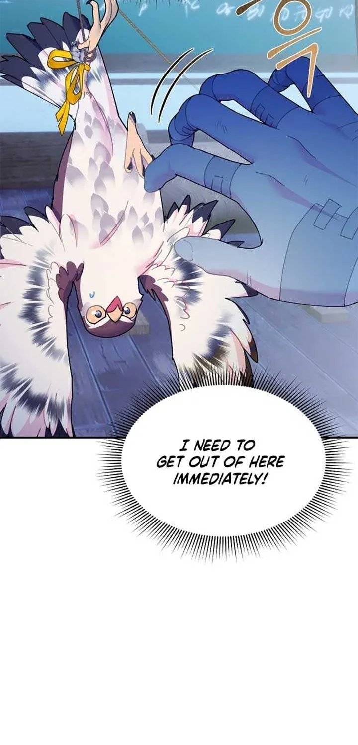 Read Cavier Falcon Princess chapter 112 image 2 on Lezhin