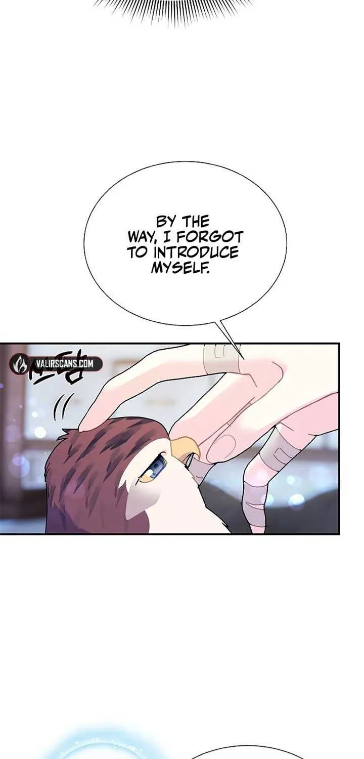Read Cavier Falcon Princess chapter 112 image 35 on Lezhin