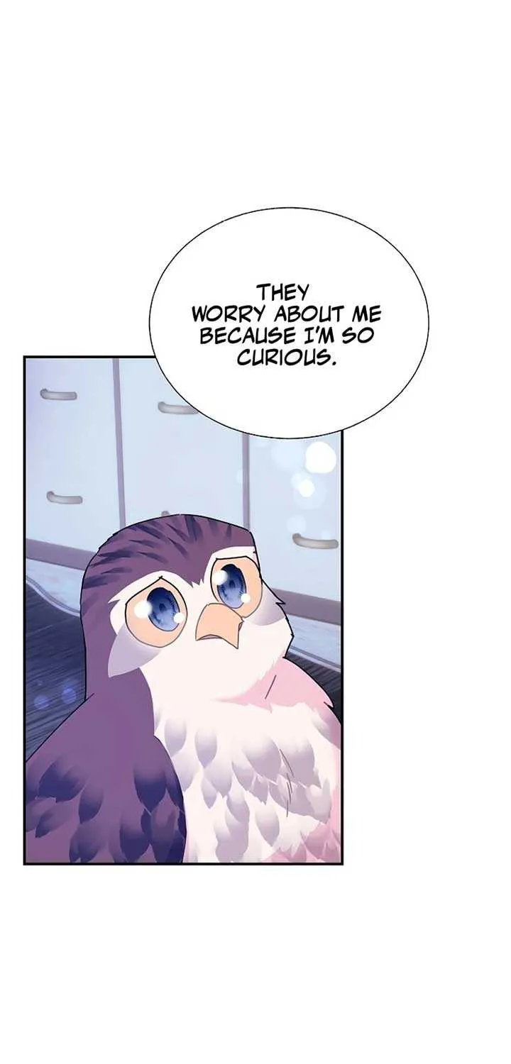 Read Cavier Falcon Princess chapter 112 image 46 on Lezhin