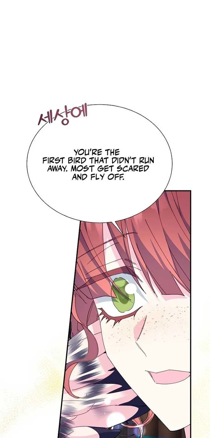 Read Cavier Falcon Princess chapter 112 image 60 on Lezhin
