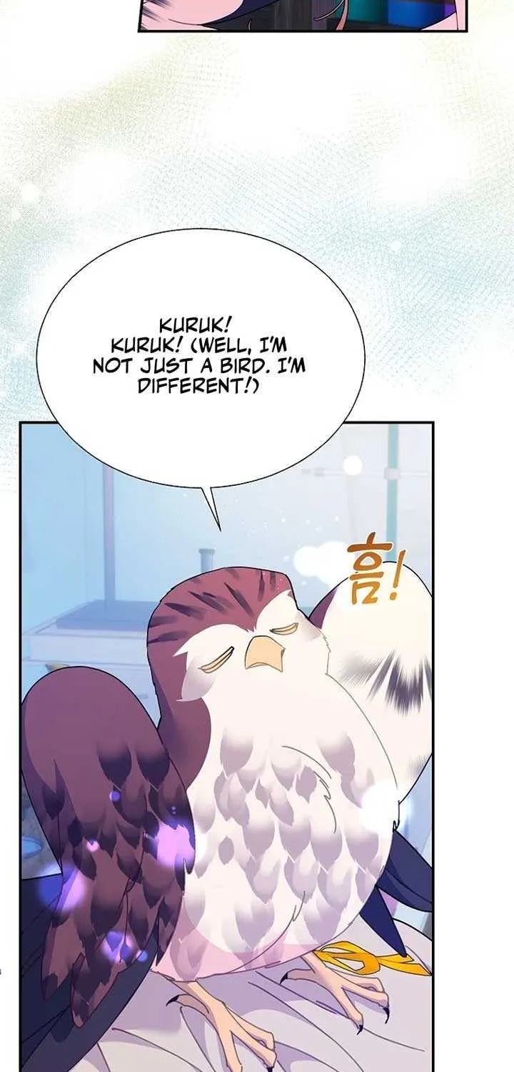 Read Cavier Falcon Princess chapter 112 image 61 on Lezhin