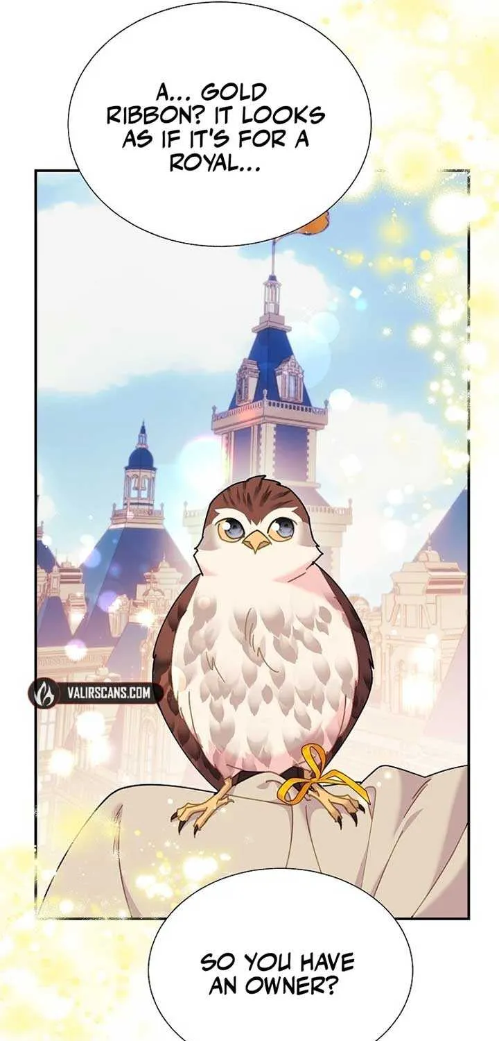 Read Cavier Falcon Princess chapter 112 image 64 on Lezhin