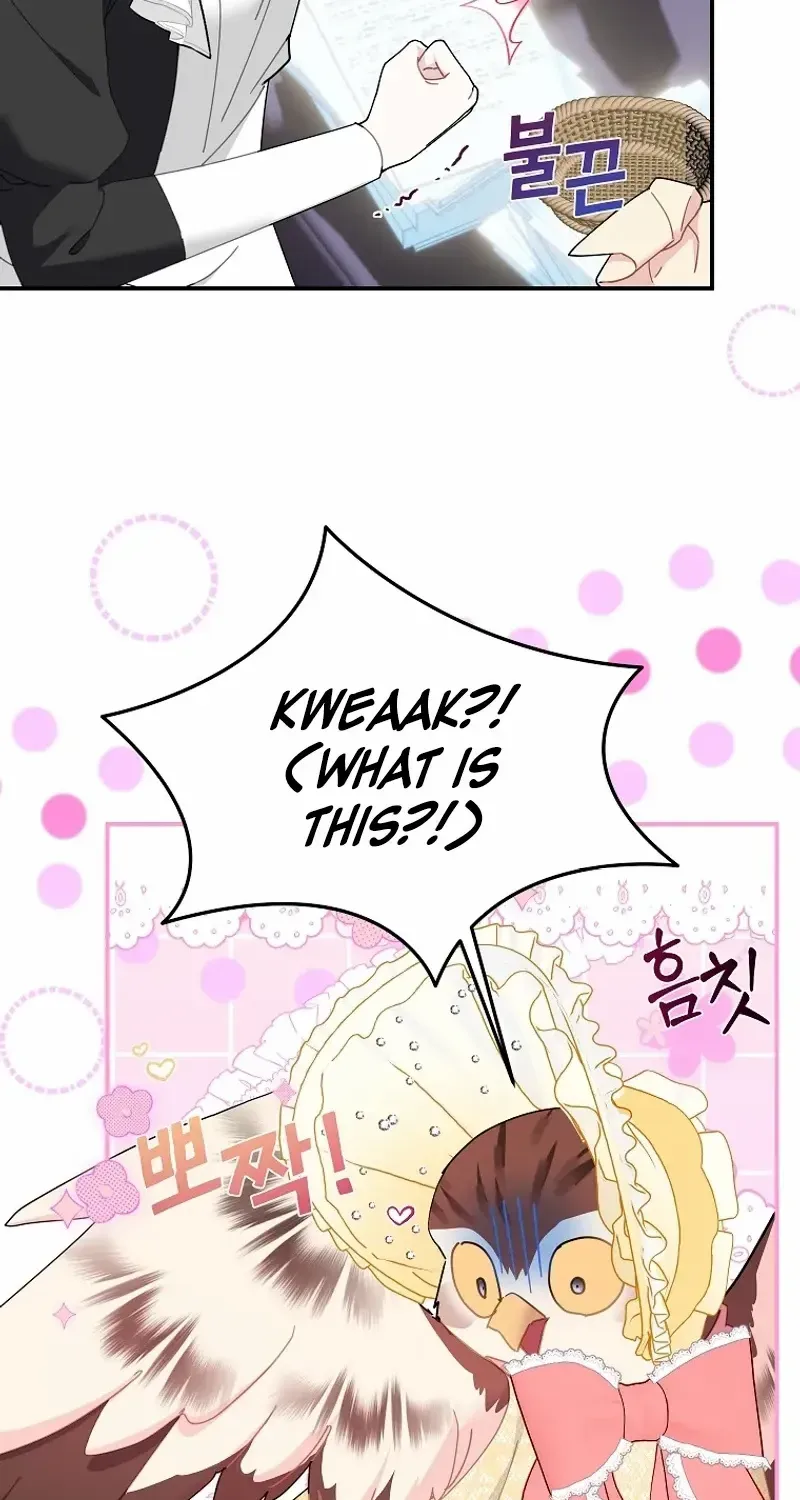 Read Cavier Falcon Princess chapter 114 image 14 on Lezhin