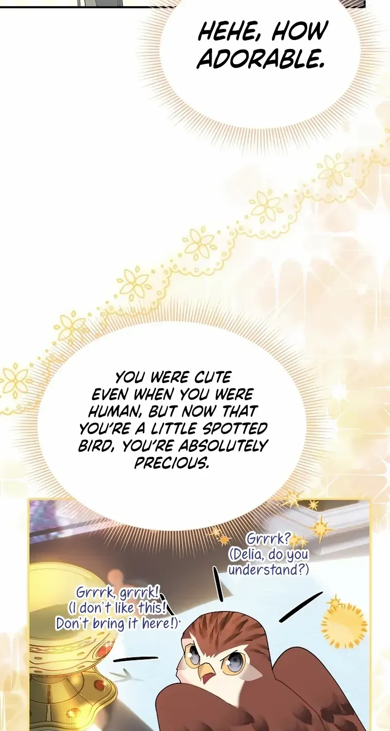 Read Cavier Falcon Princess chapter 114 image 4 on Lezhin